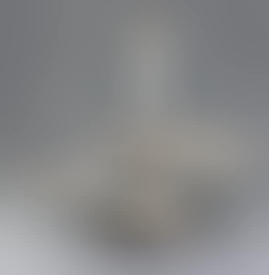 Silver centrepiece (preview)