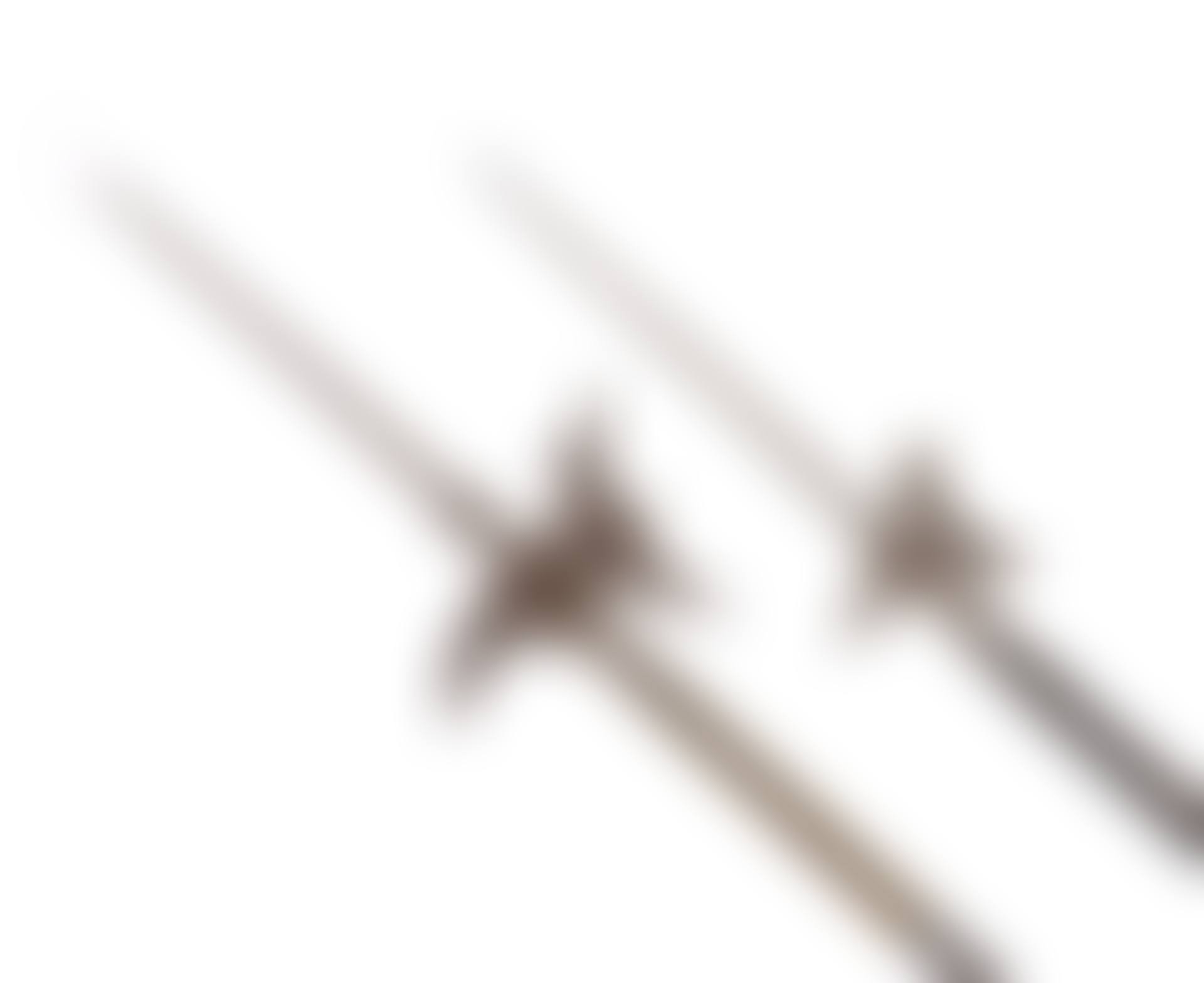 Two 18th century German halberds (preview)