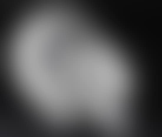 Ormeaux dish (preview)