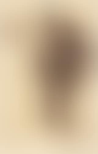 Standing Negress (preview)