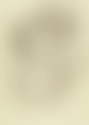 Female Nudes (preview)