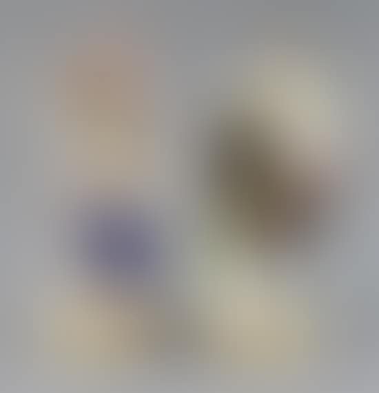 Two Meissen figures of a boy with a bird nest and girl with a bird cage (preview)