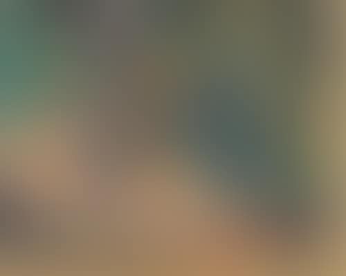 Green Still Life (preview)
