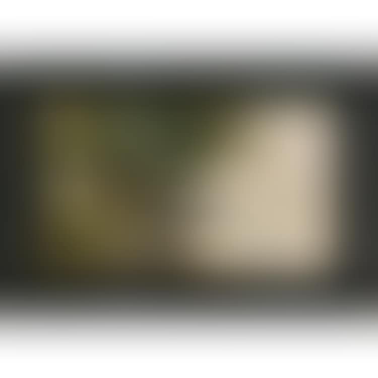 View of Lake Chiemsee (preview)