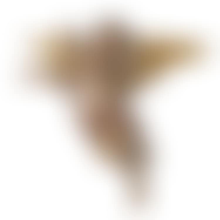 Angel floating (preview)