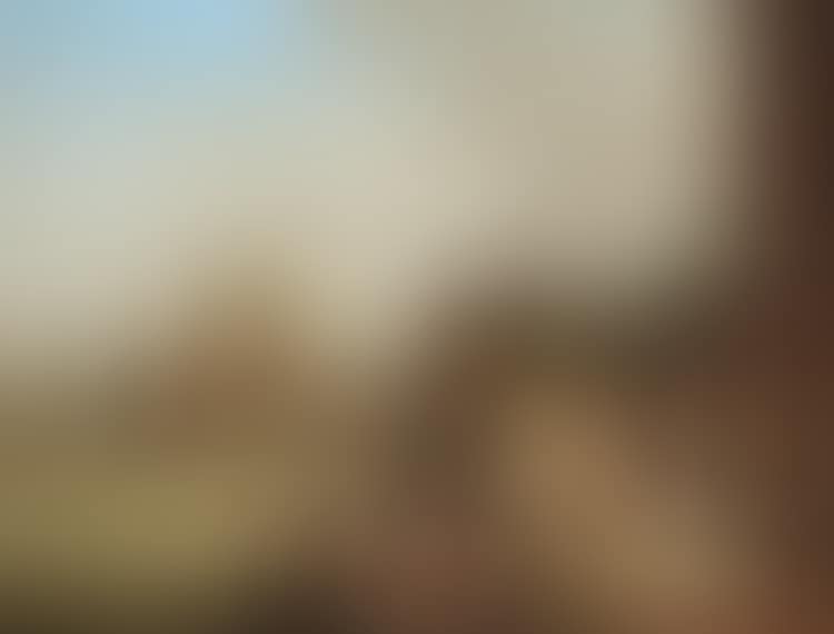 View of Venice with a view of Santa Maria della Salute. In the foreground gondolier and strolling company (preview)