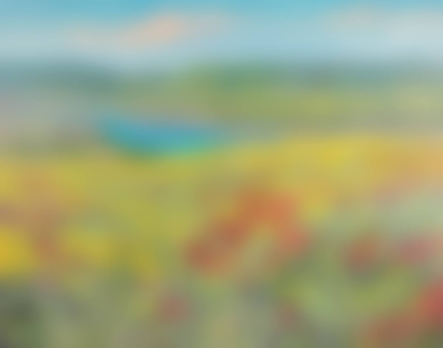 Columbia River landscape with wildflowers (preview)