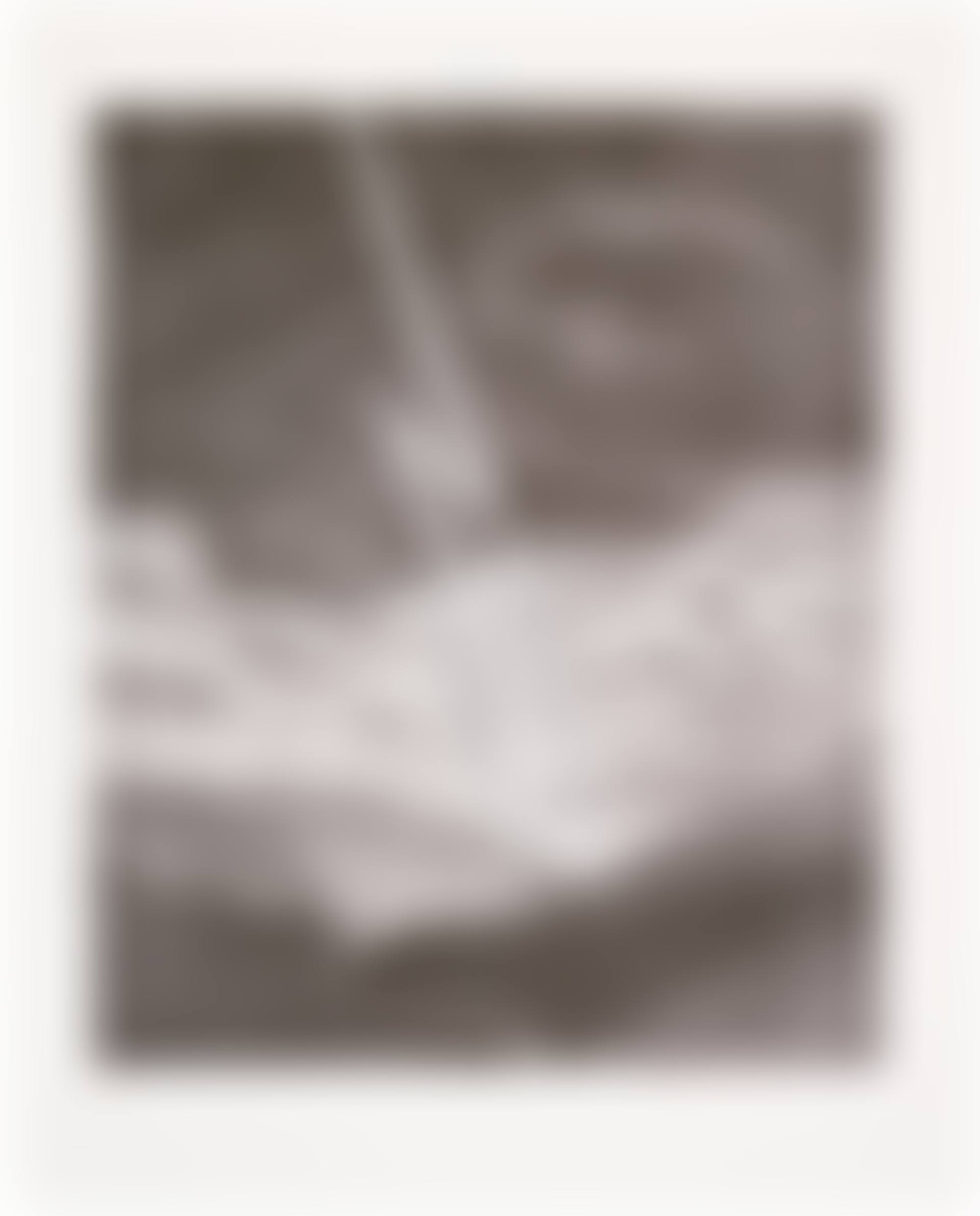 Lightning, from The Weather Series (G. 441, S.A.C. 139, M.C.A.T. 130) (preview)