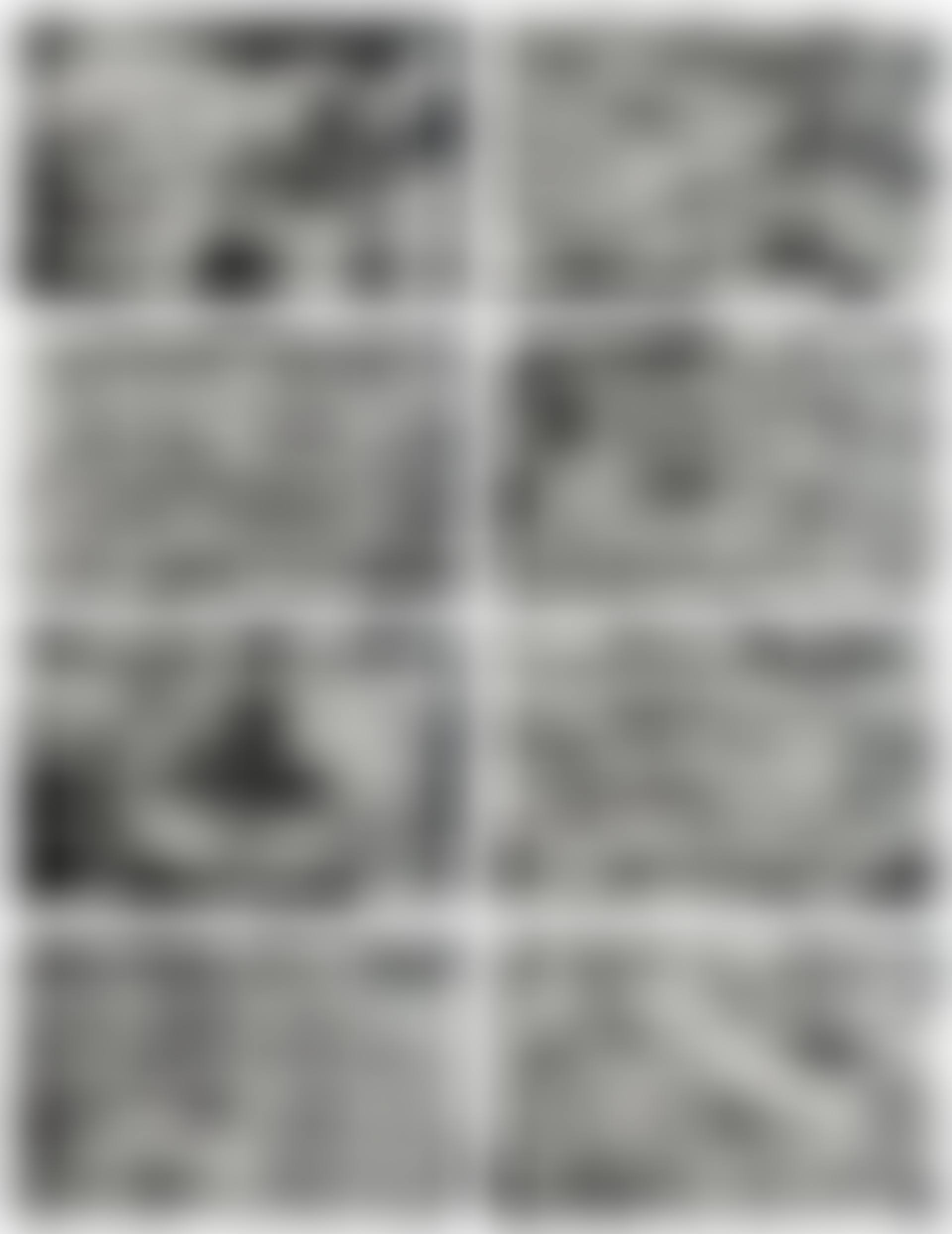 128 Fotos von einem Bild (Halifax 1978) II (128 Details From a Picture) (B. 99) (preview)