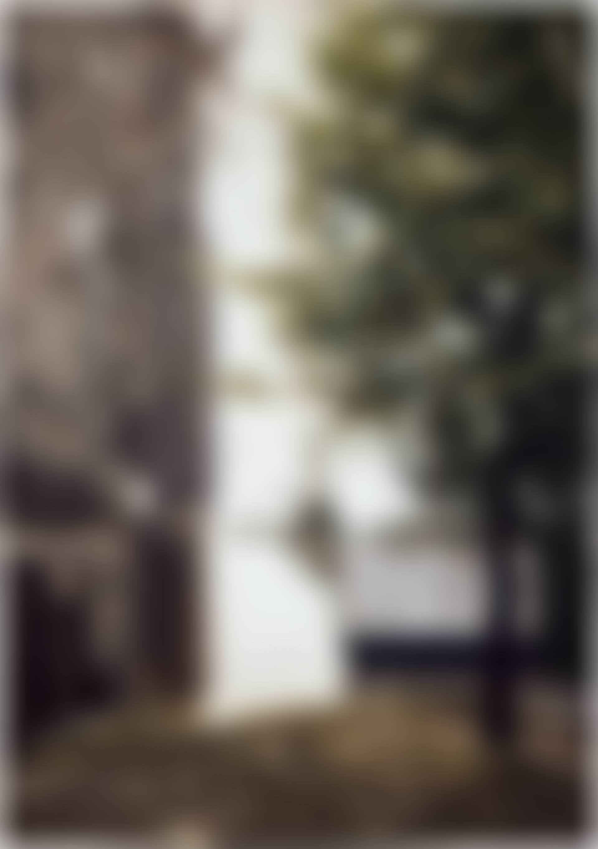 Domecke I (Cathedral Corner I) (B. 97) (preview)
