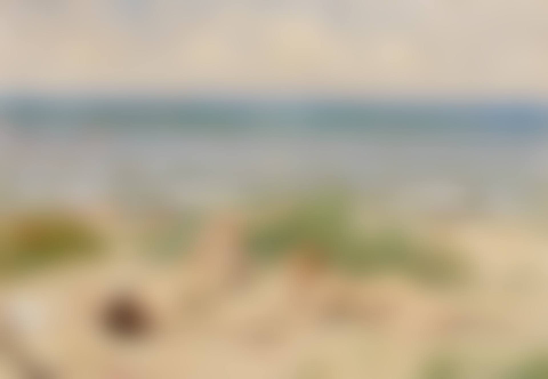 Piger på stranden, Båstad (Girls on the beach, Båstad) (preview)