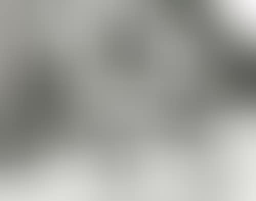 Portfolio entitled "A Hungarian Memory," (preview)