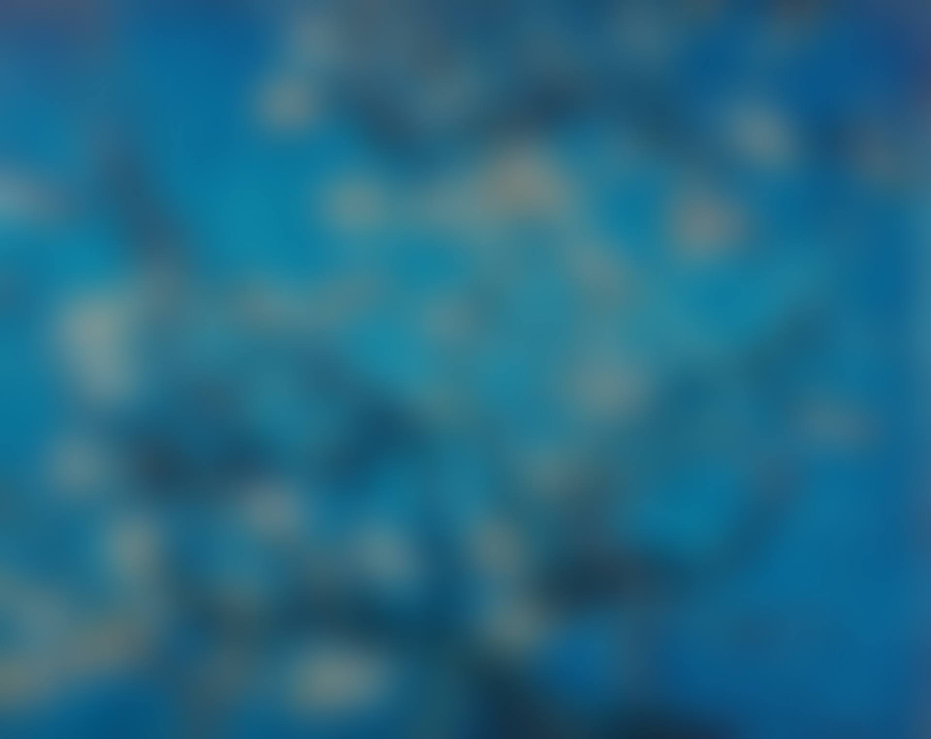 Almond Blossom, after van Gogh (from 'Pictures of Magazines') (preview)