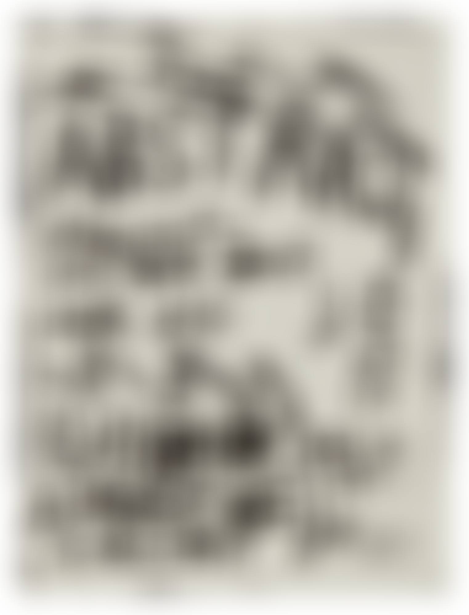 Untitled (JS07295) (preview)