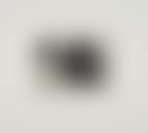 Untitled (for Harvey Gantt) (preview)
