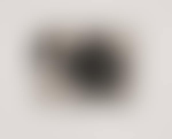 Untitled (for Harvey Gantt) (preview)