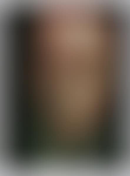 Heiner Friedrich (preview)