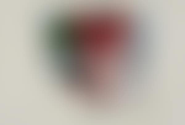 The Circled Girl (preview)