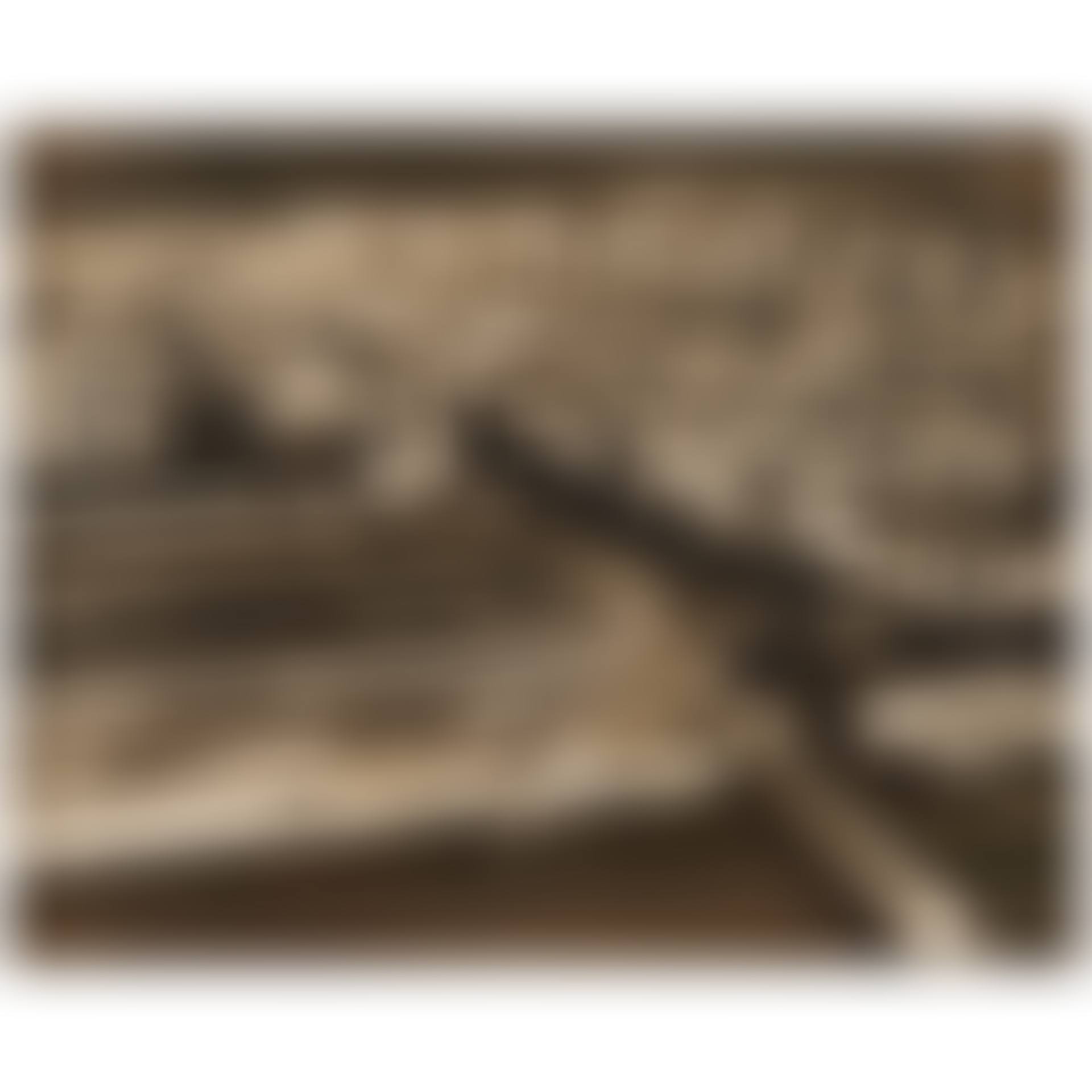 "Havana" (preview)