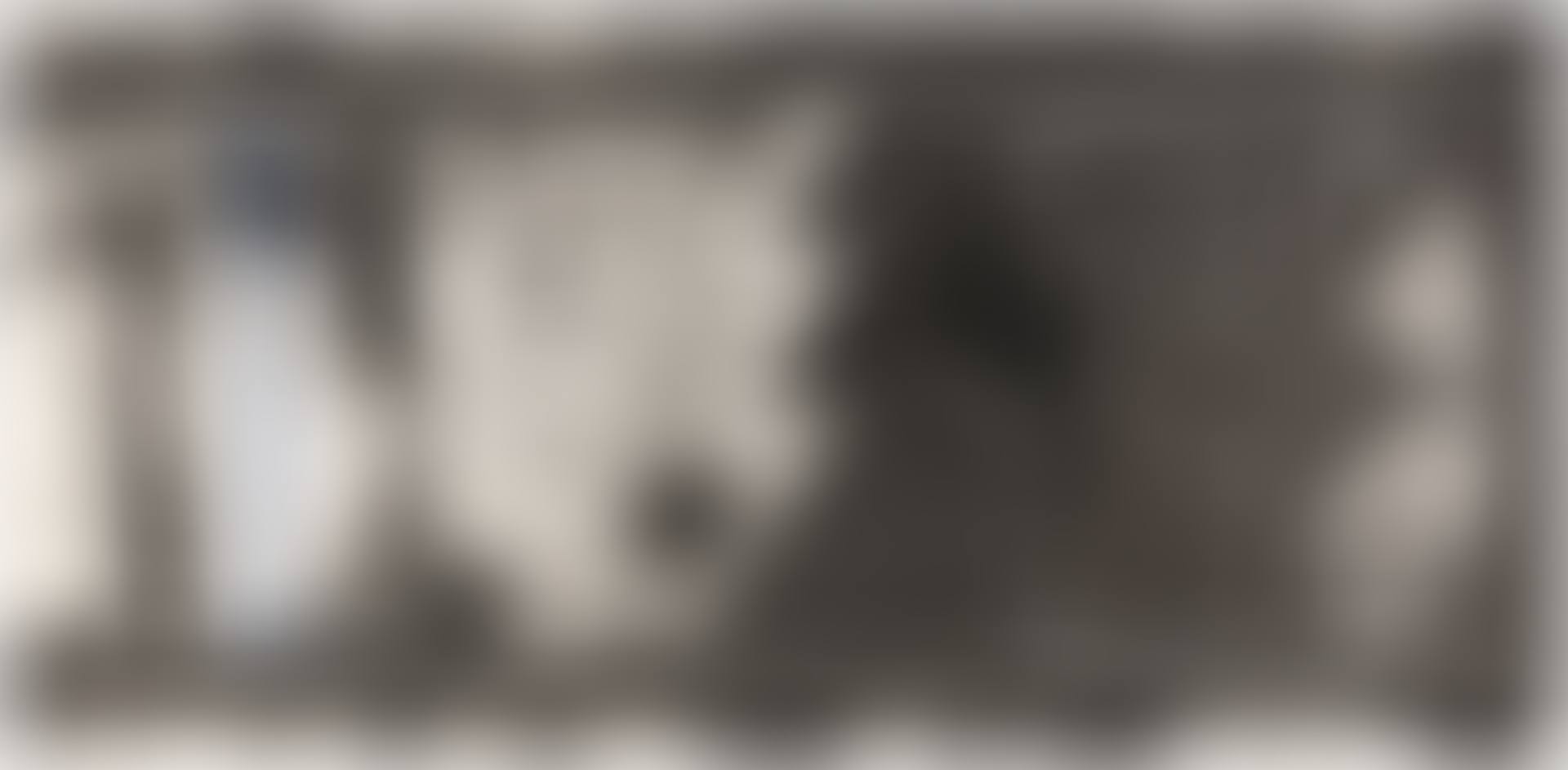 Rails (G. 89) (preview)