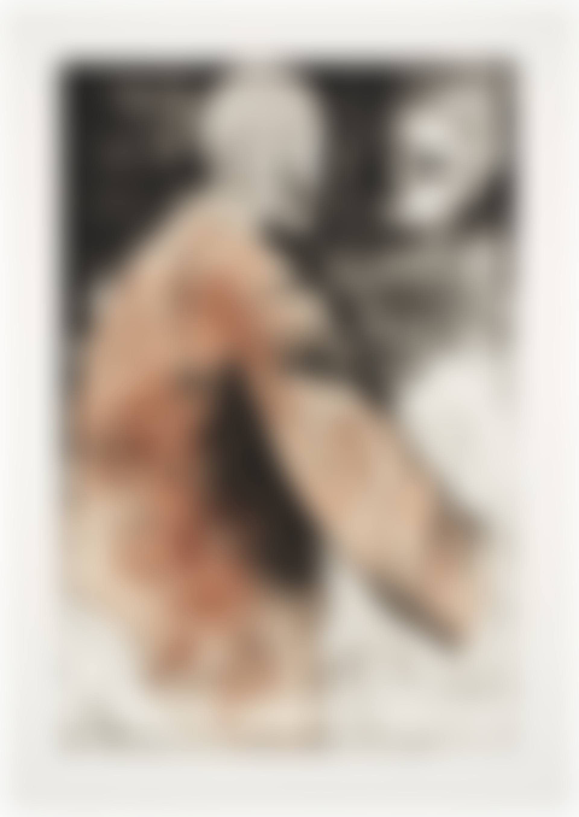 The Brown Coat (D"O. & F. 3) (preview)