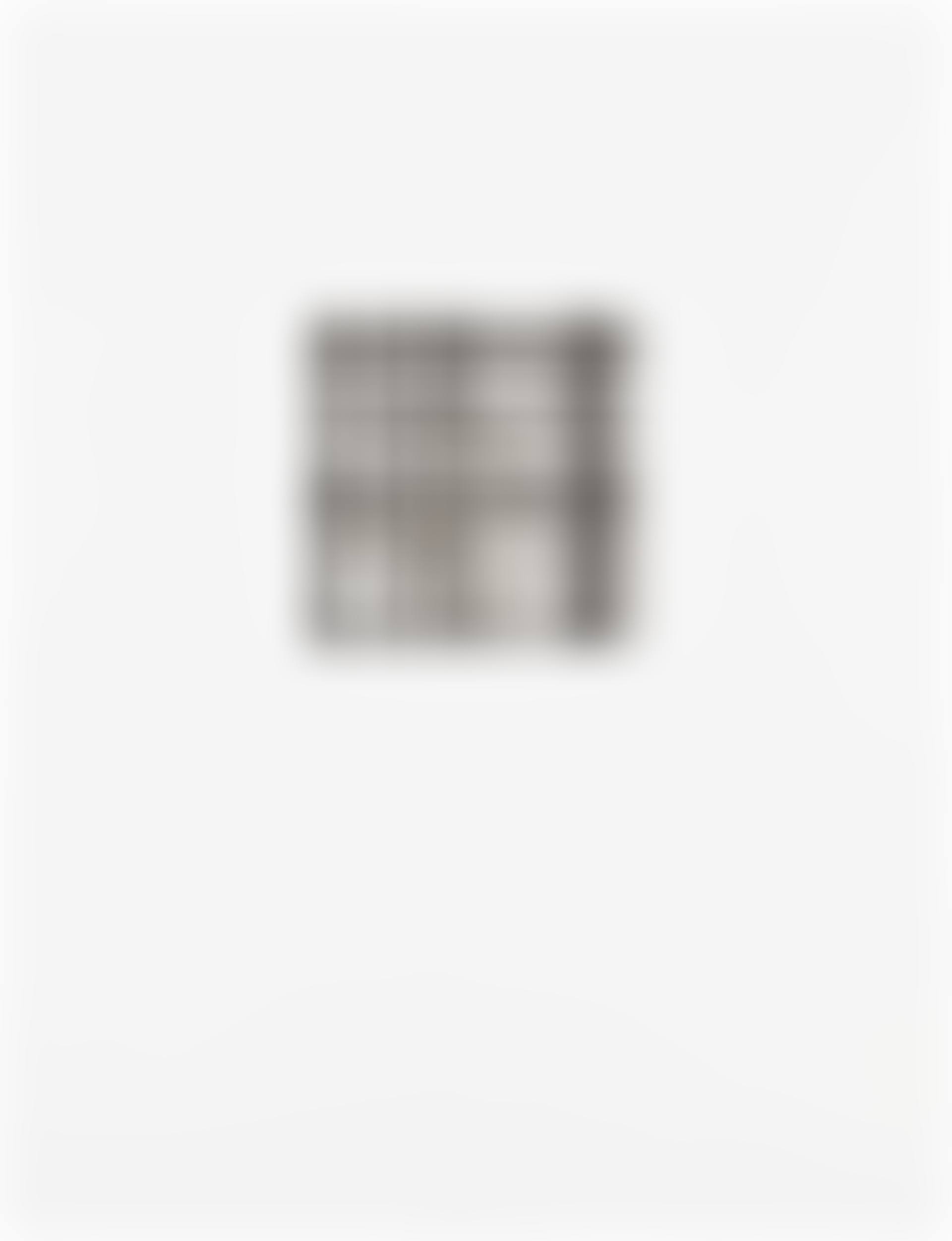 Tiles: one plate (L. 31d) (preview)