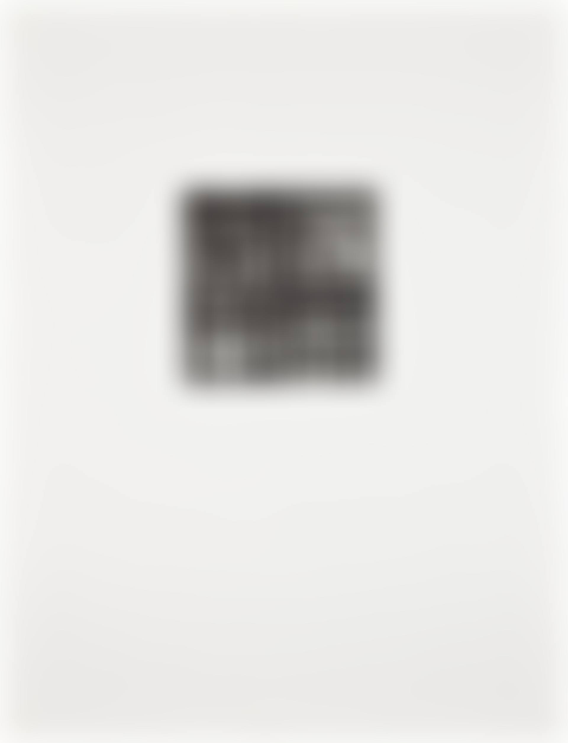 Tiles: one plate (L. 31a) (preview)