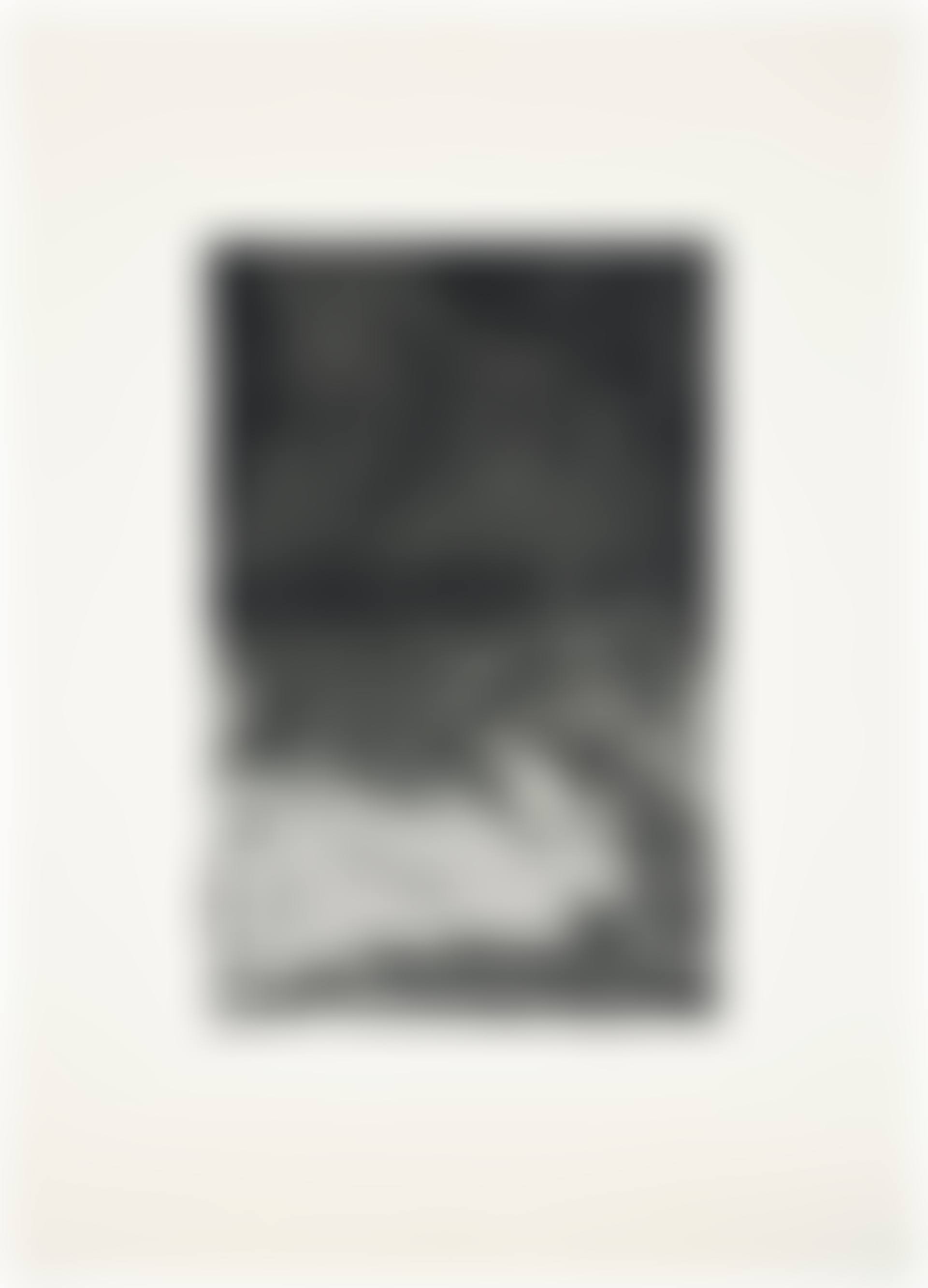 Untitled Press: plate #3 (L. 21.3) (preview)