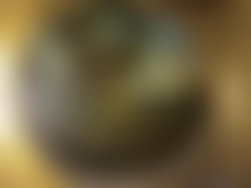 “Animated landscapes” (preview)