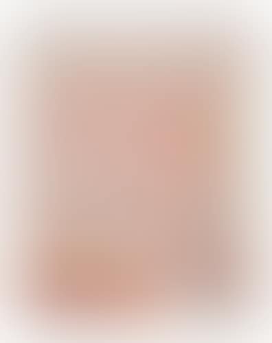 Interieur aux Tentures Roses I (preview)