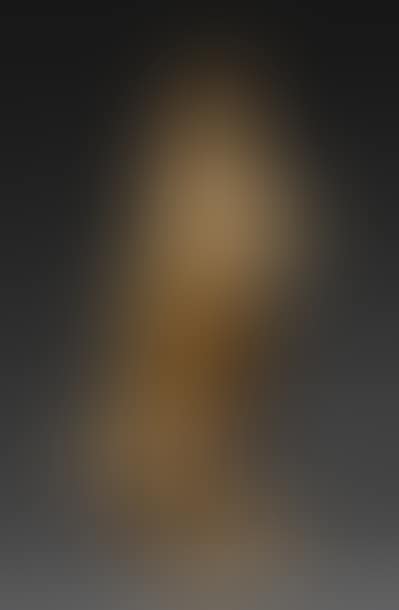 The sower (preview)