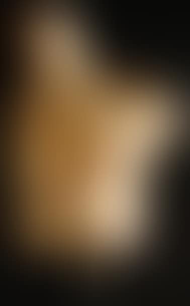 “Asclepios” (preview)