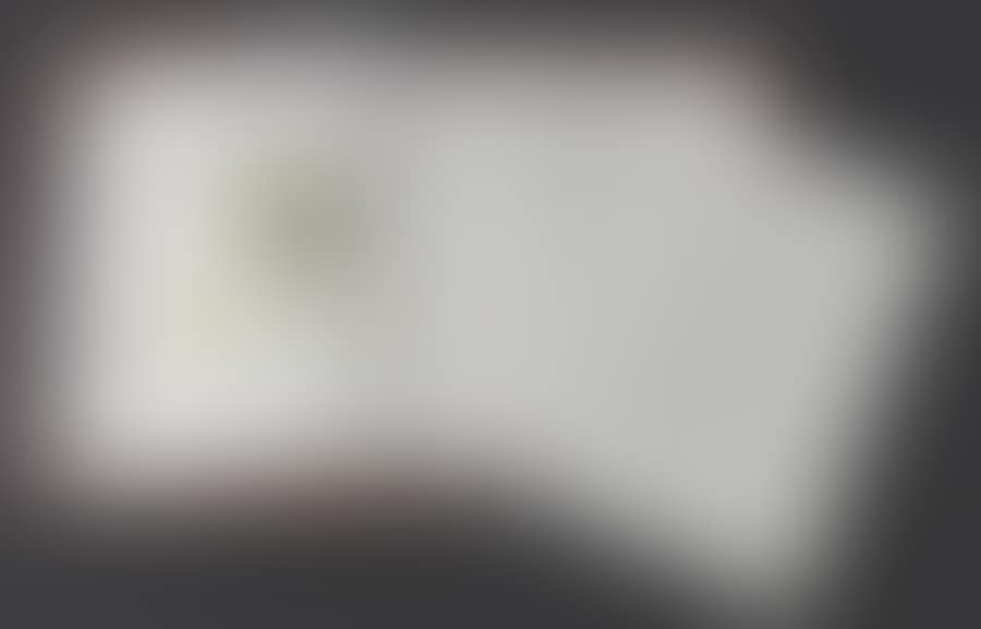 “Defamation trial pleaded before the internship conference” (preview)
