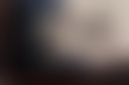 Capítulo X (preview)