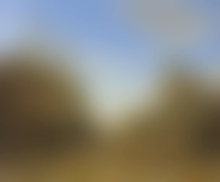 “View taken from the garden path, late afternoon” (preview)