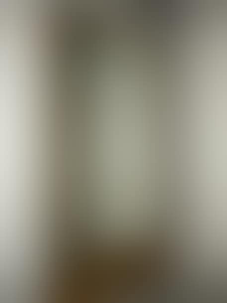 GLACE TRUMEAU (preview)