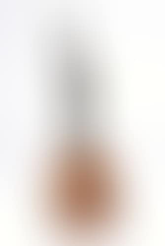 The Award of Learning (preview)