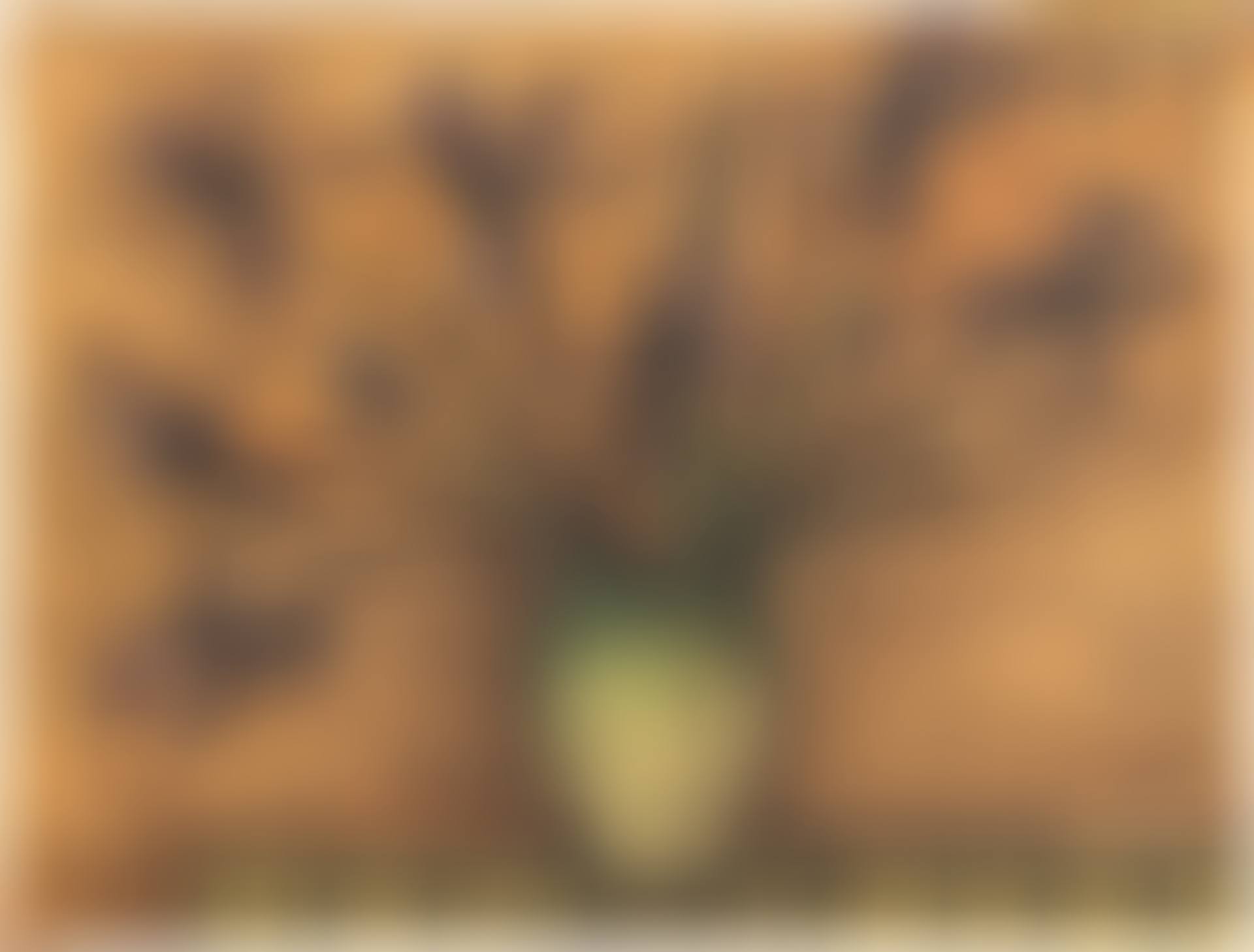 Fleurs dans un vase (preview)