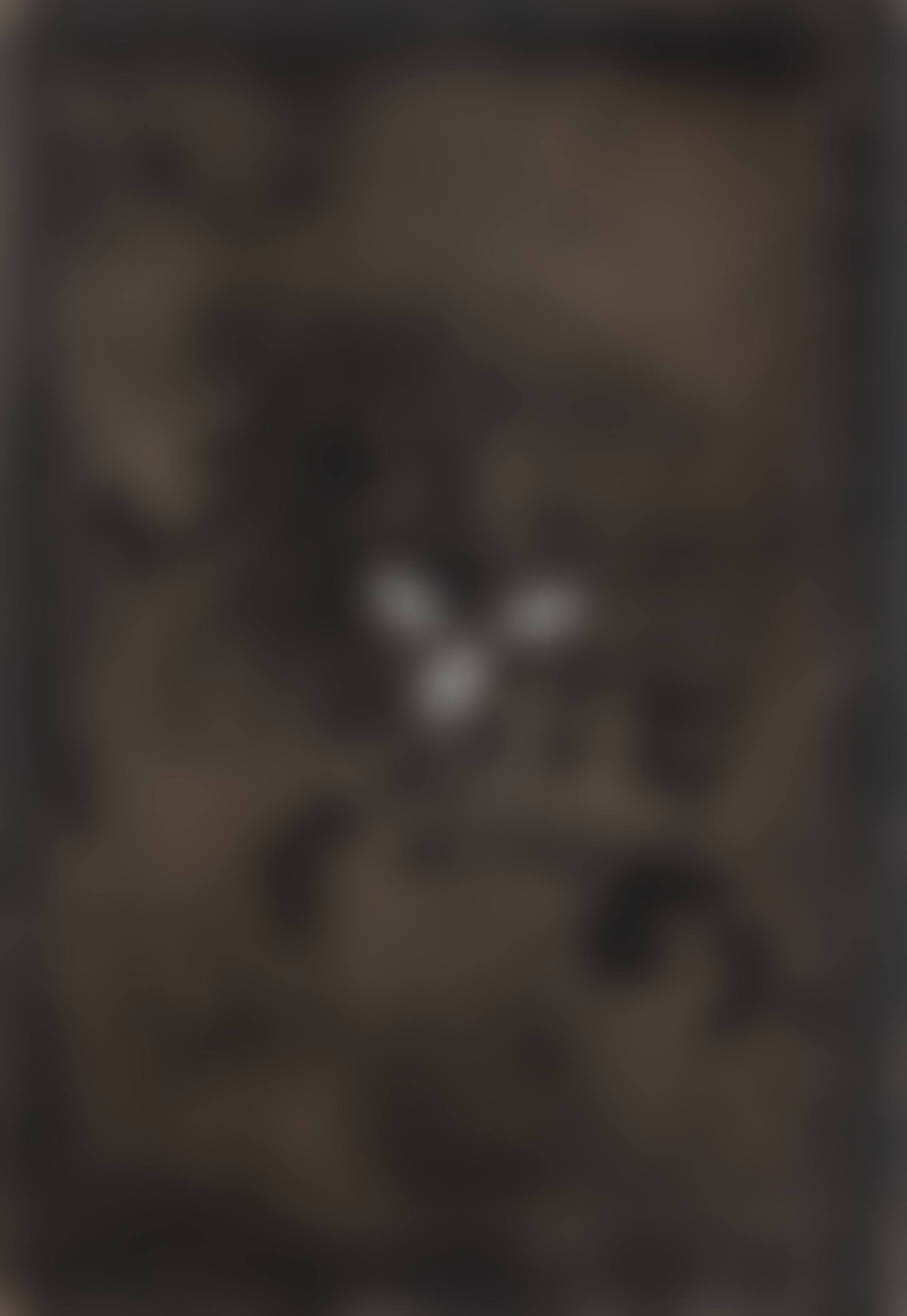 Cartó III (preview)