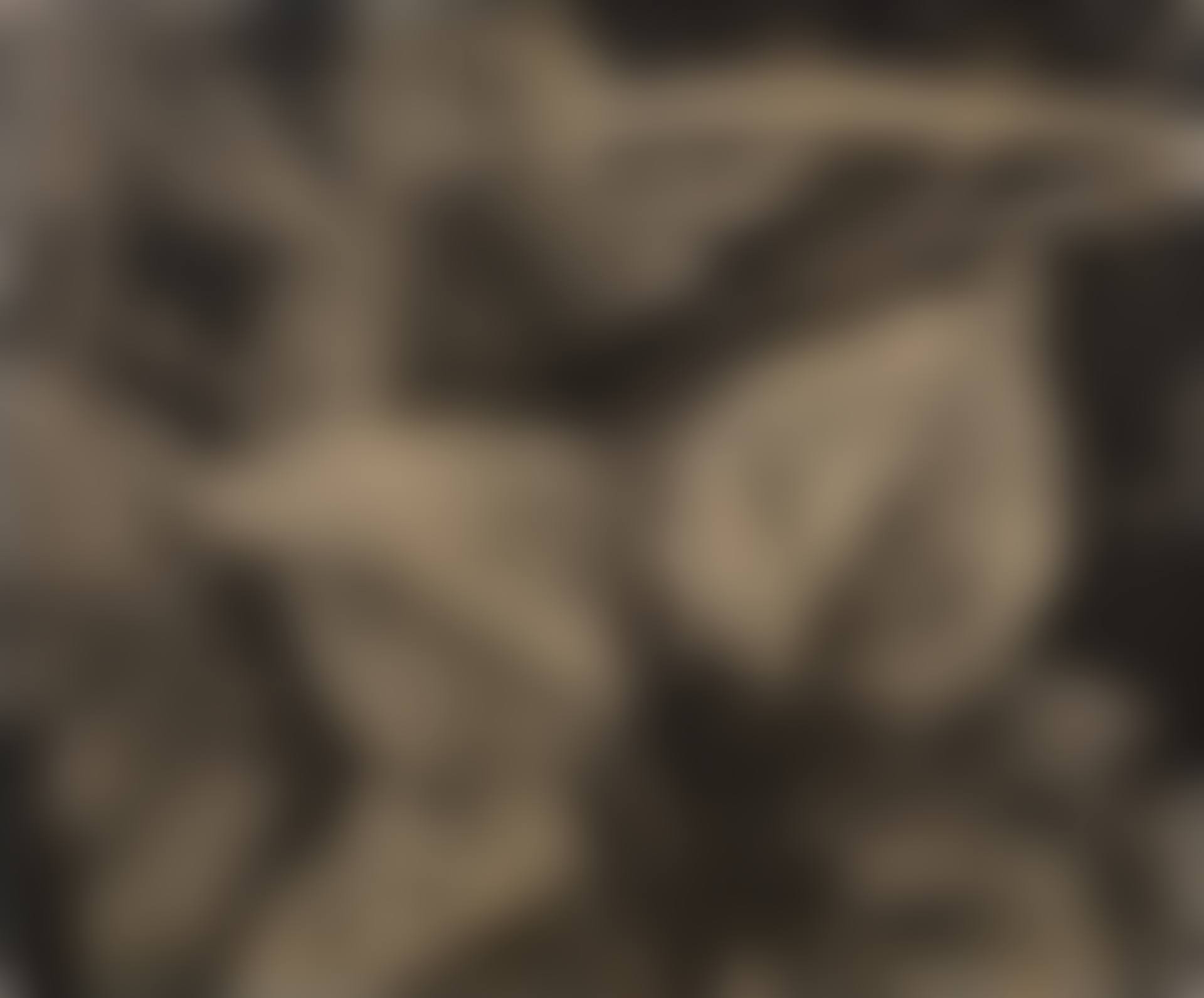 Leaves and raindrops, glacier bay National monument (preview)