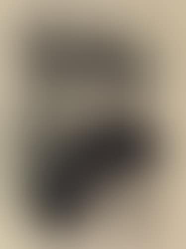 Une Spectatrice (preview)