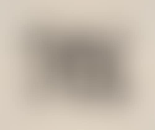 Album 13 (preview)