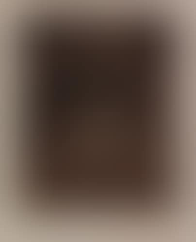 Bildnis (preview)