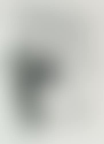 Two lithographs. (preview)