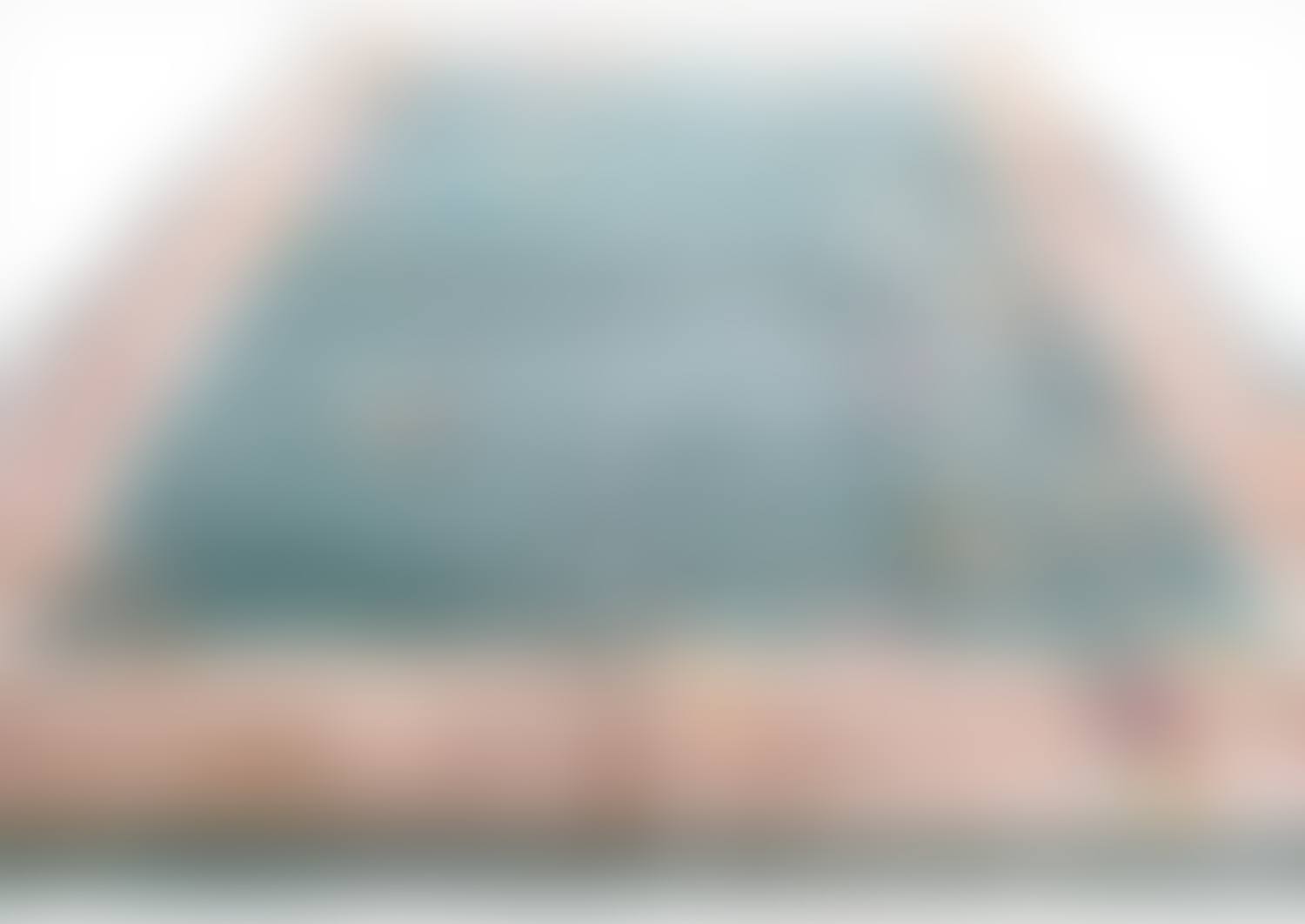 Untitled (preview)