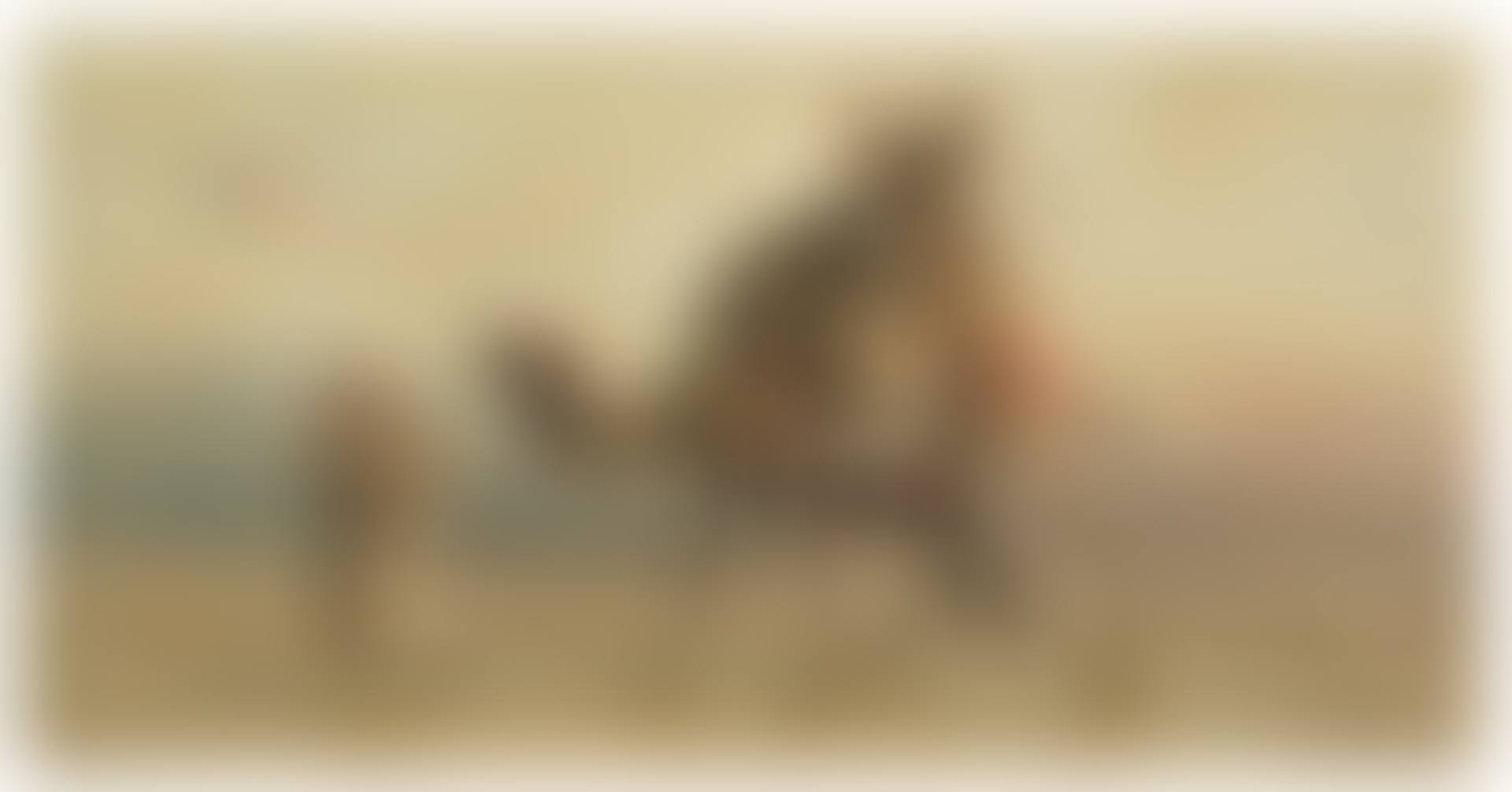 Happiness in the desert (preview)