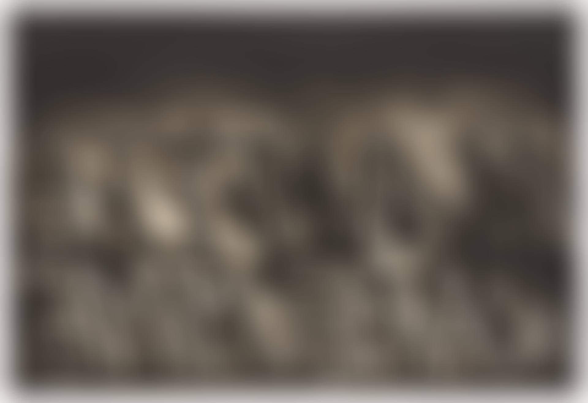 M. Ampere (C. p. 320, C. 21) (preview)