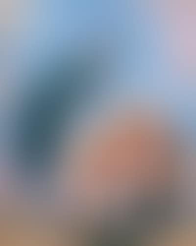 "The barefaced suitor" (preview)
