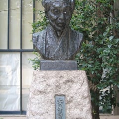 Sotaro Yasui