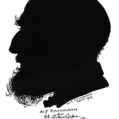 Alfred Bachmann